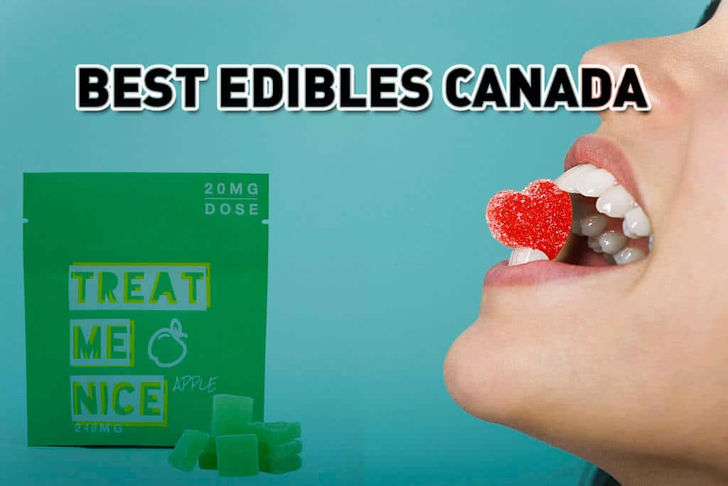 Best Edibles Canada | Treat Me Nice