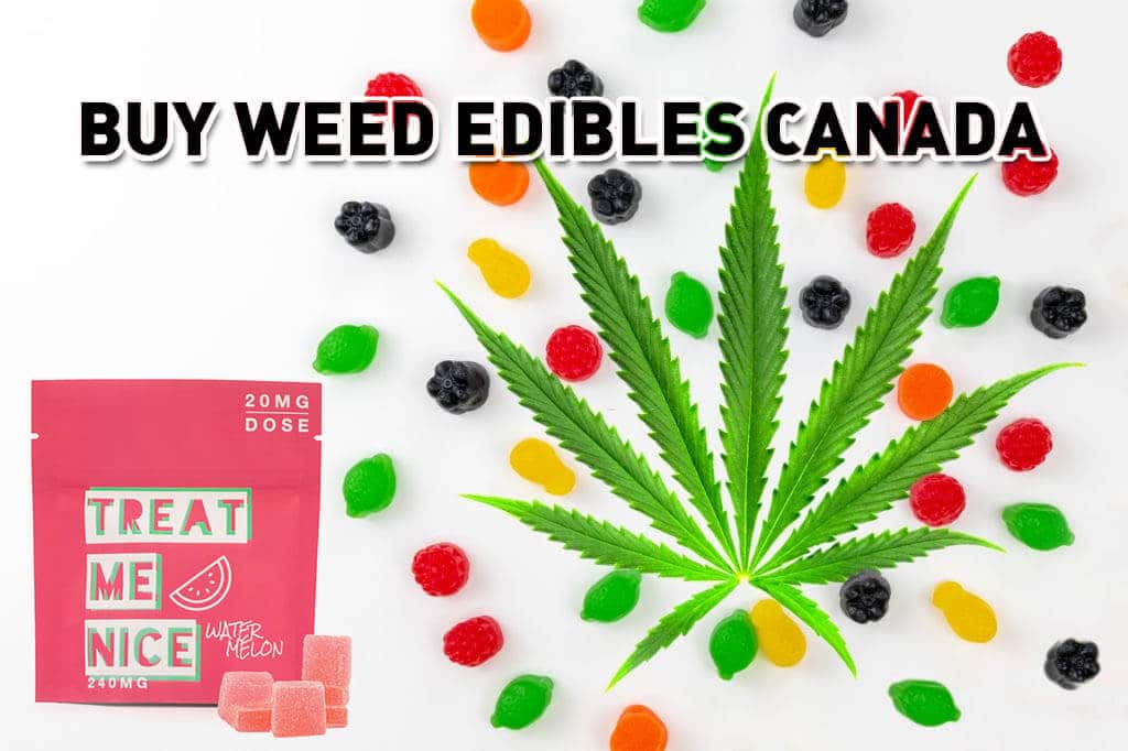 Buy Weed Edibles Canada | Treat Me Nice
