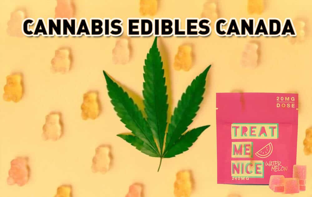 Cannabis Edibles Canada | Treat Me Nice